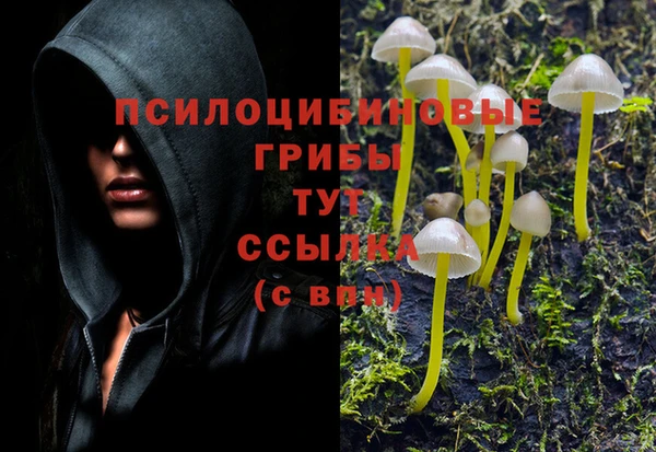 дмт Алексин