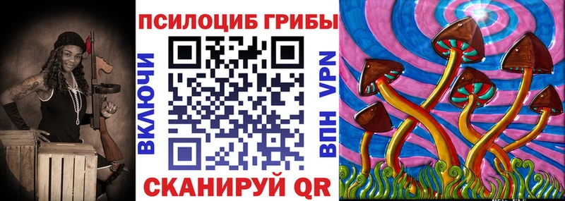 Псилоцибиновые грибы Psilocybe  Сосновоборск 